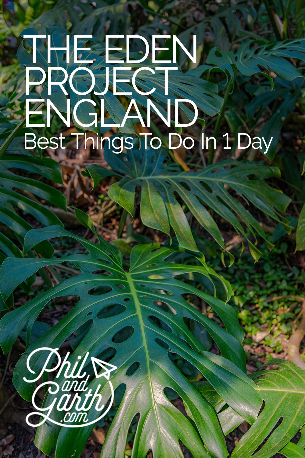 Eden Project Cornwall - The Best Things To Do In 1 Day