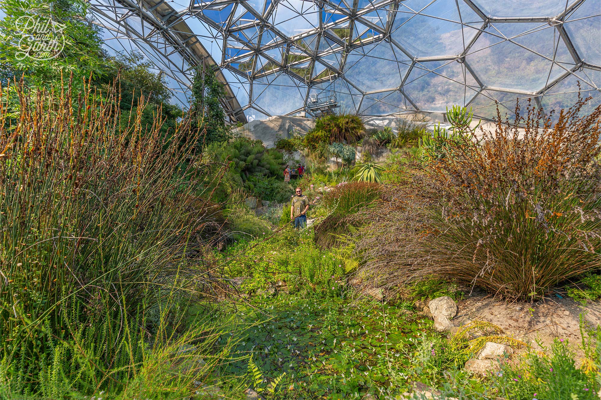 Garth amongst the plants of the South Africa garden