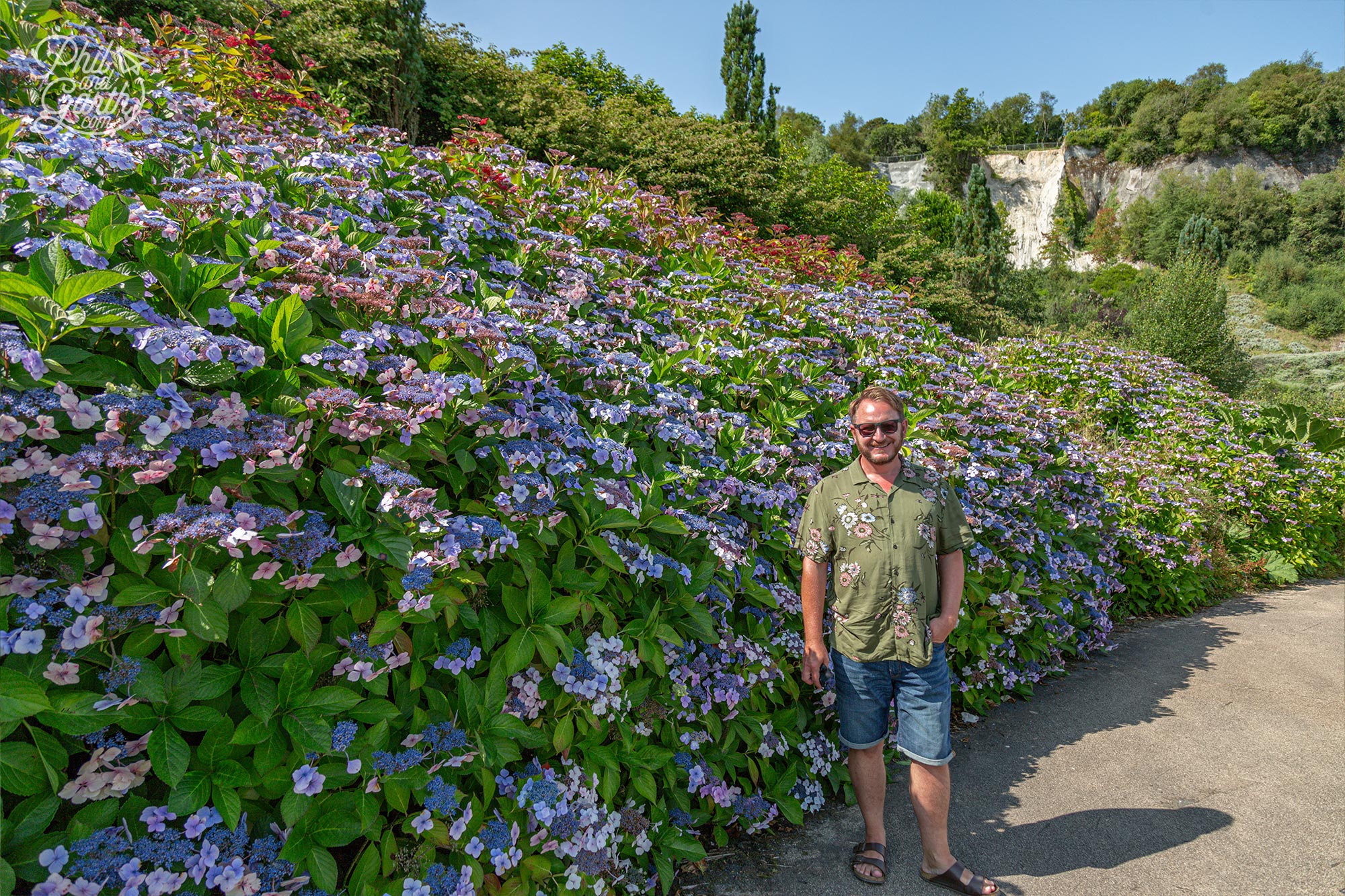 Garth stood next to this striking hydrangea border