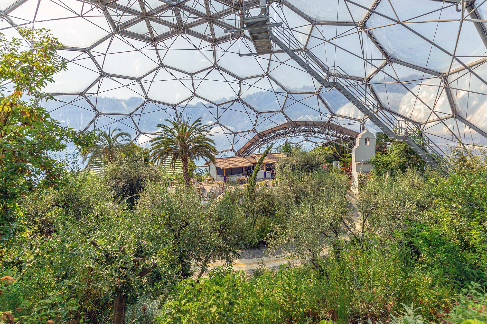 Inside the Mediterranean Biome. The exoskeleton biomes are made of thermoplastic and steel