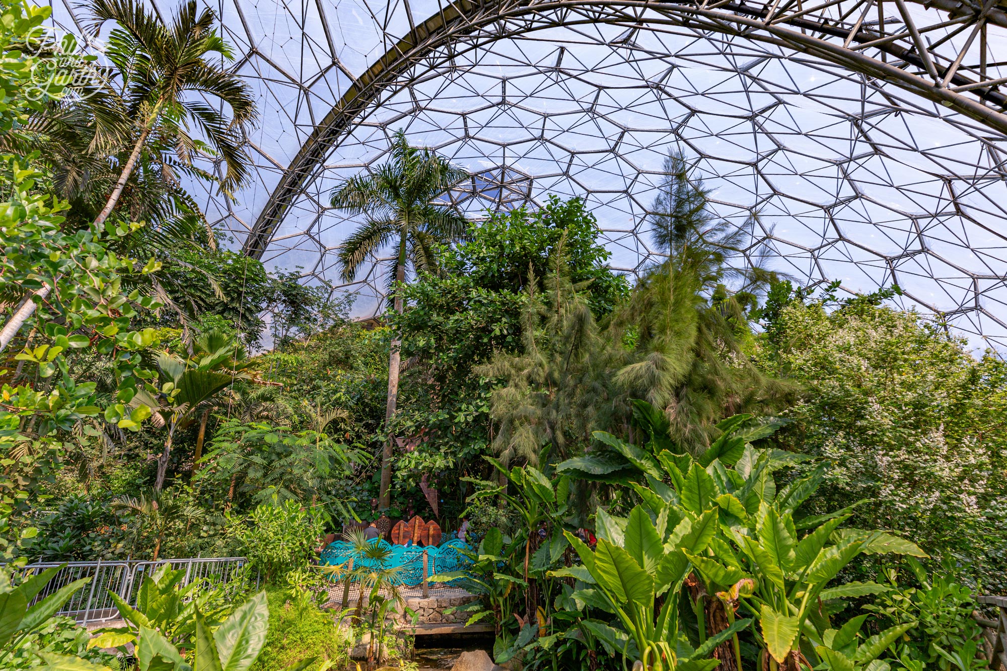 Inside the Rainforest Biome which is the world's largest indoor rainforest