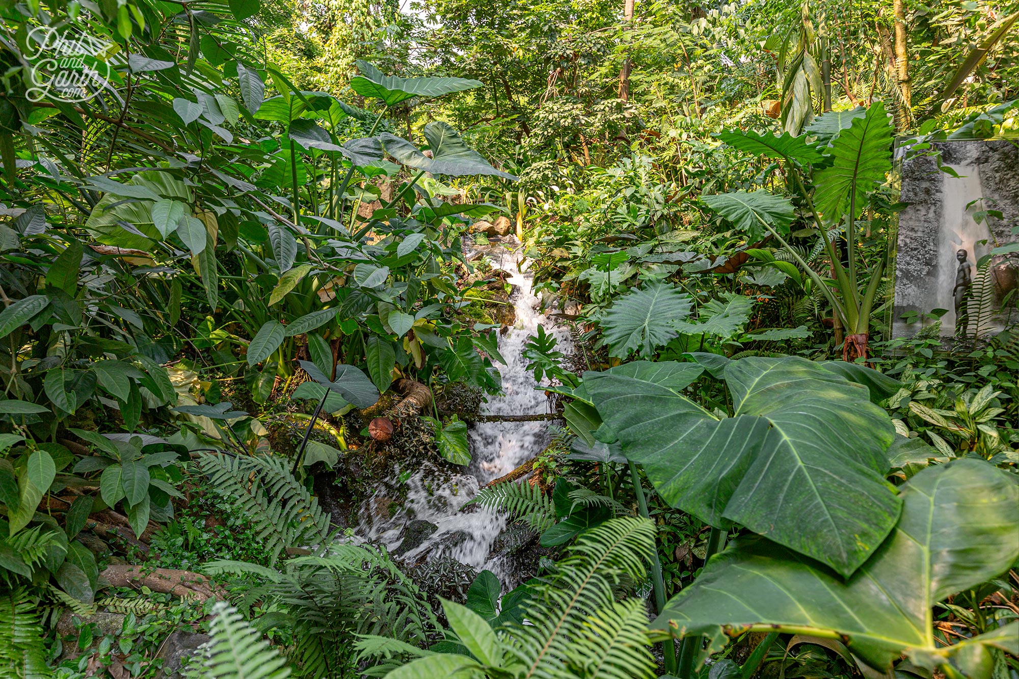 One of the waterfalls inside the rainforest biome