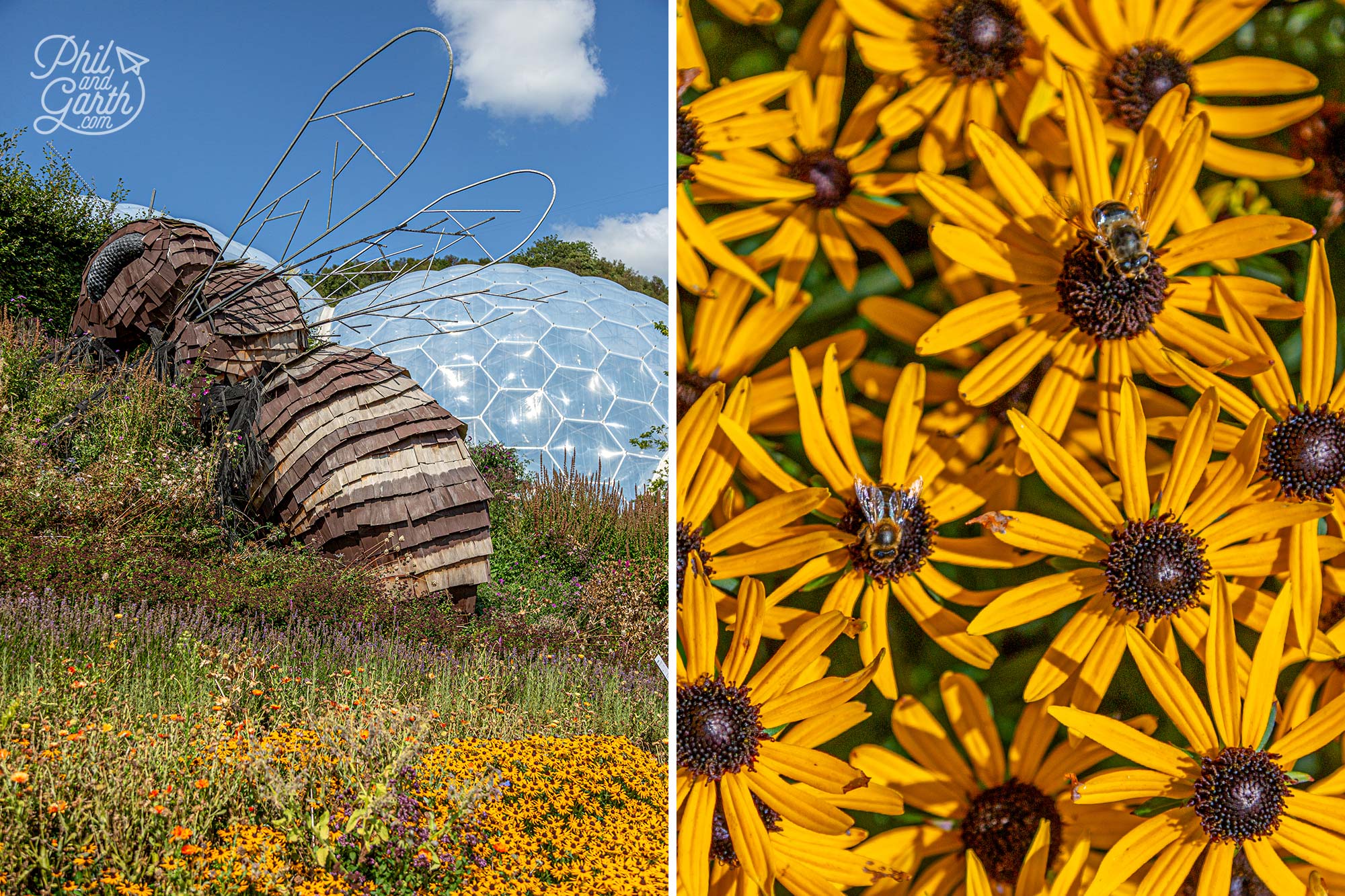 The Eden Project's iconic giant bee sculpture called Bombus