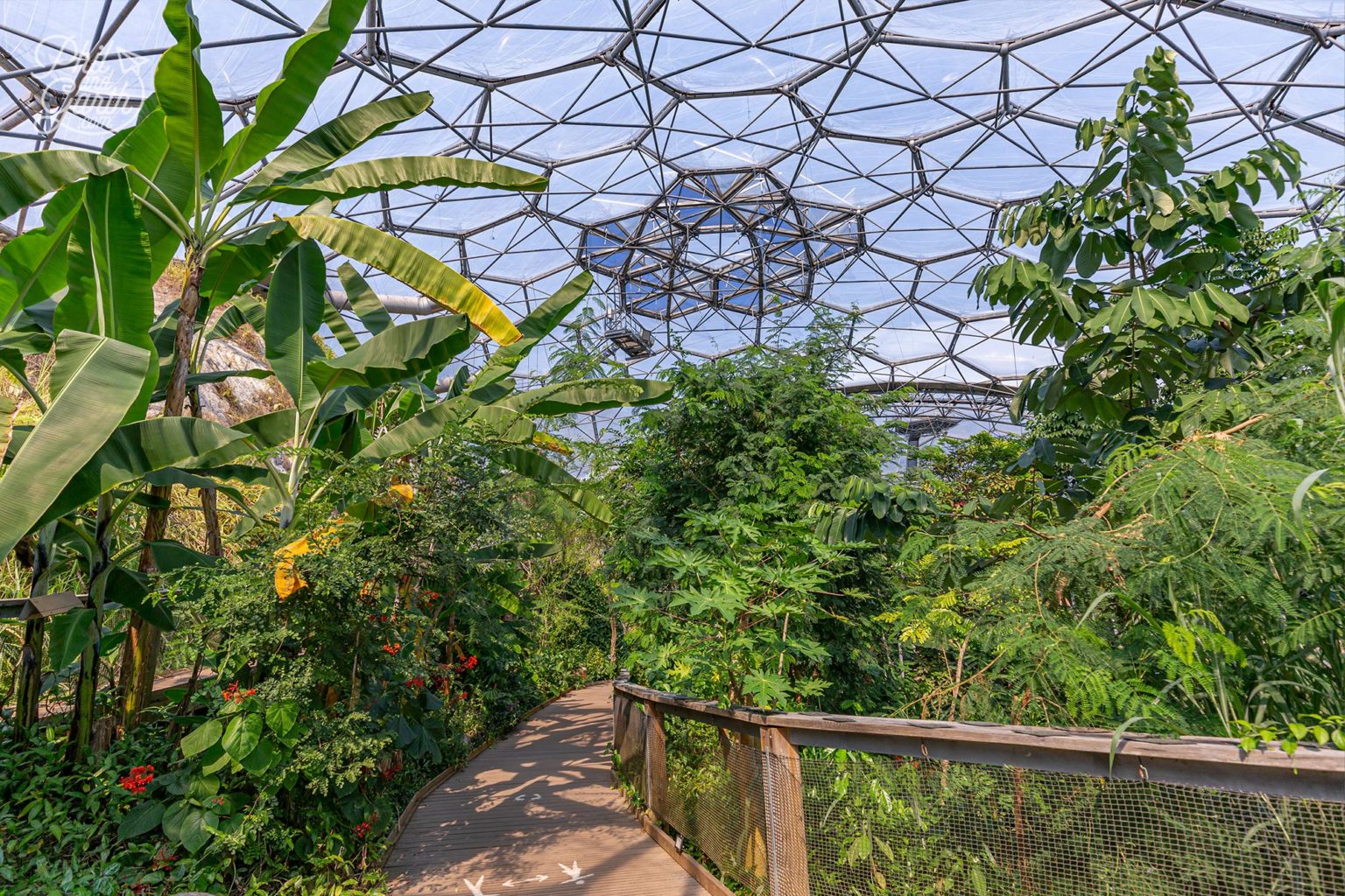 Things To Do At The Eden Project, Cornwall - Phil and Garth