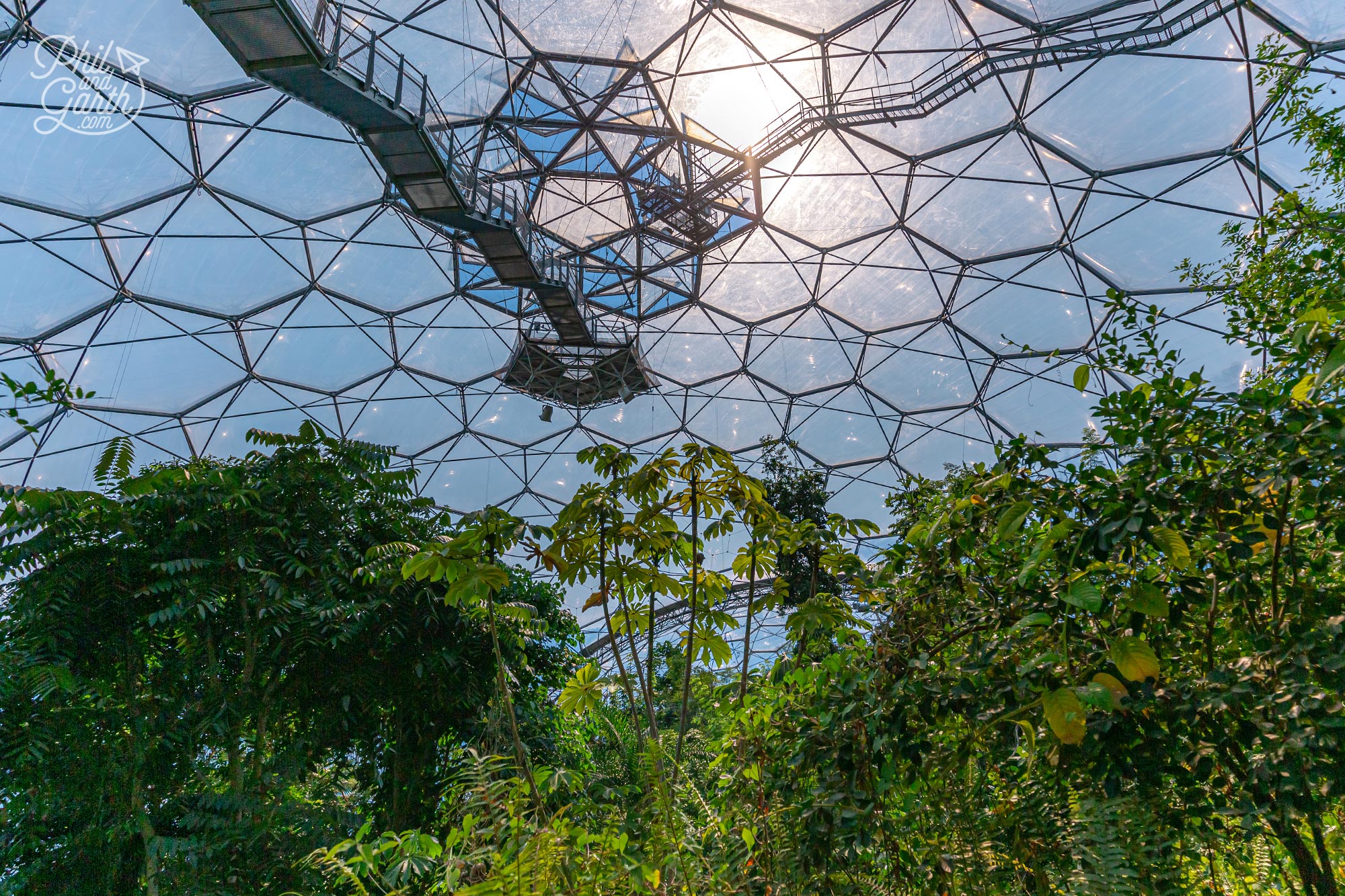 The Rainforest Lookout for an even higher perspective