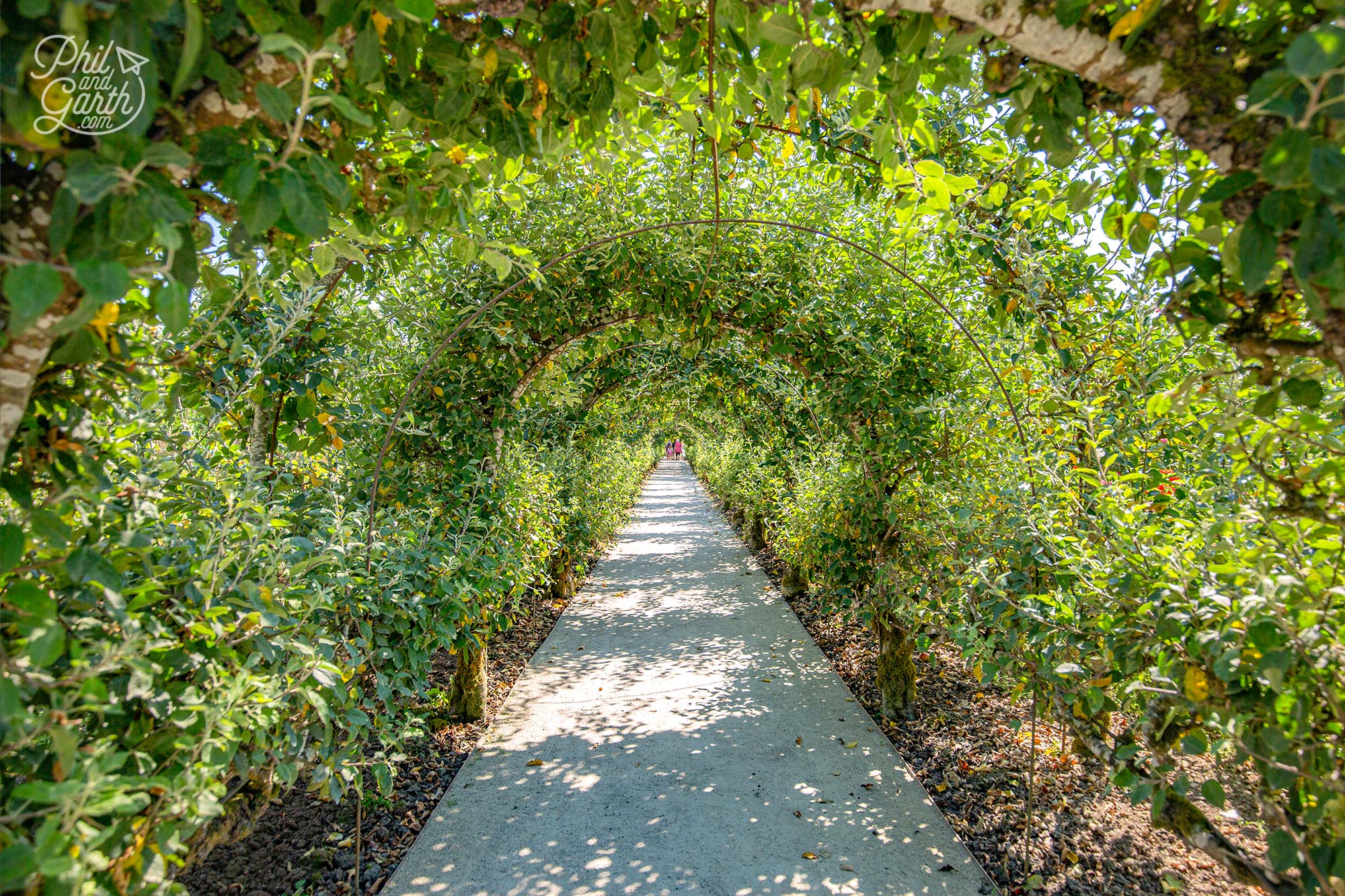 The Apple Arch - a lovely tunnel of apple trees in the Kitchen Garden