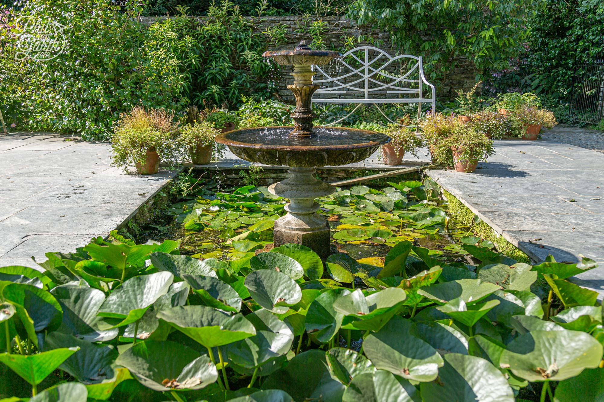 An ornamental pond at the Northern Summerhouse garden
