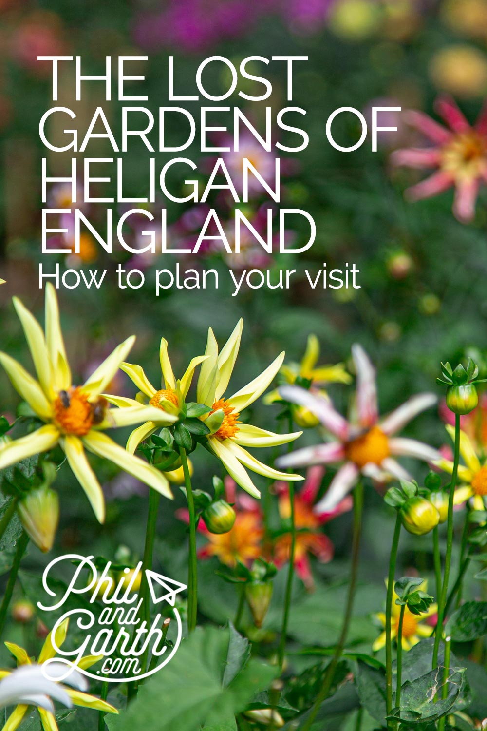 Lost Gardens of Heligan how to plan your visit