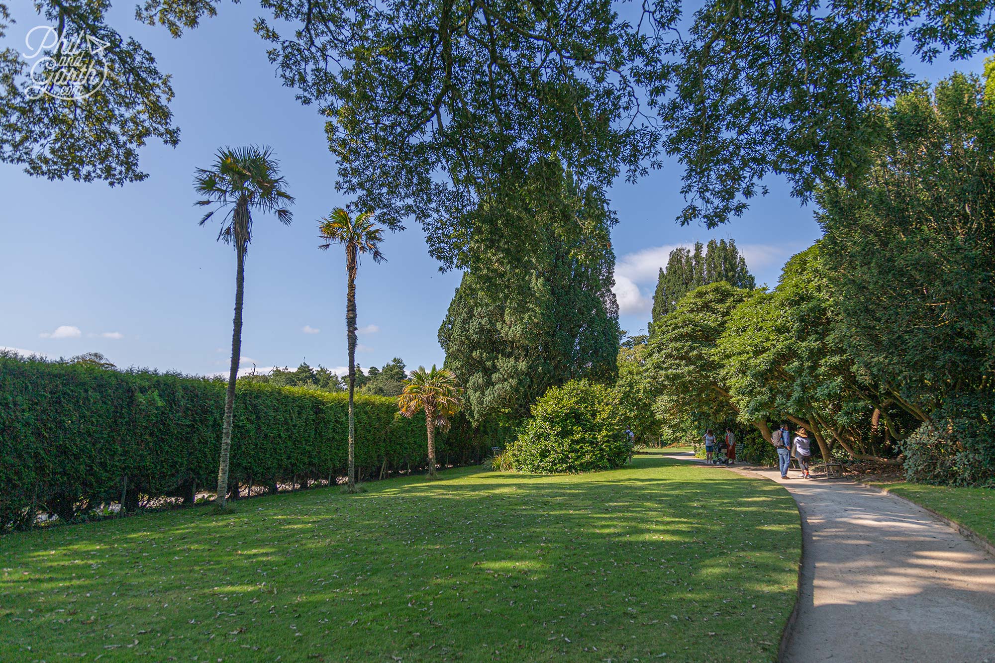 Old Victorian paths lead you past ancient rhododendrons in Flora's Green