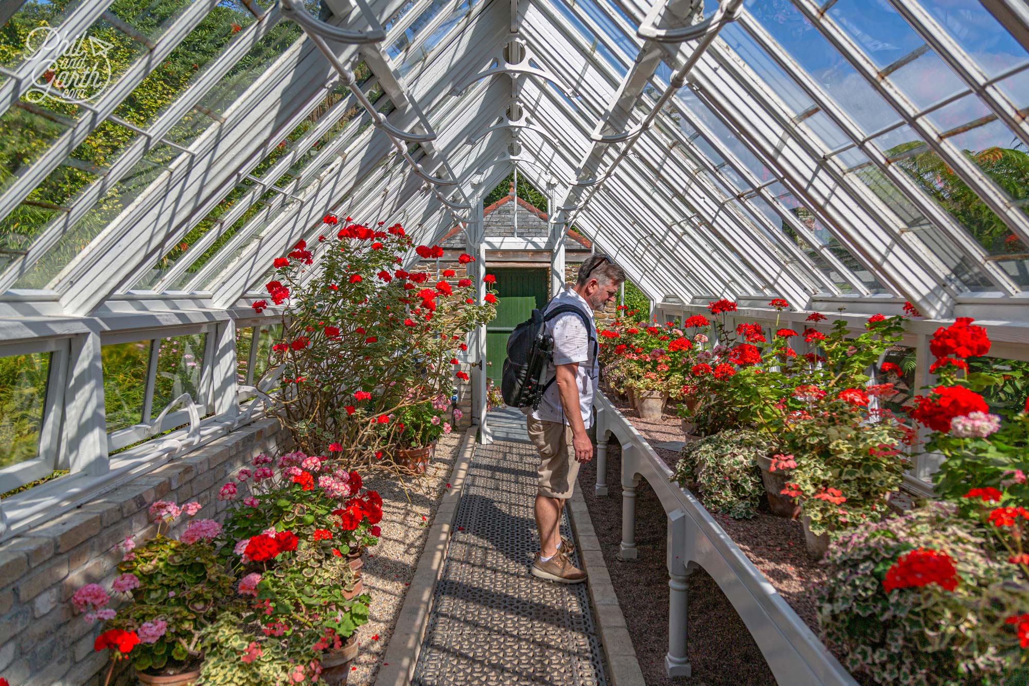 Phil inside the Pencalenick Greenhouse