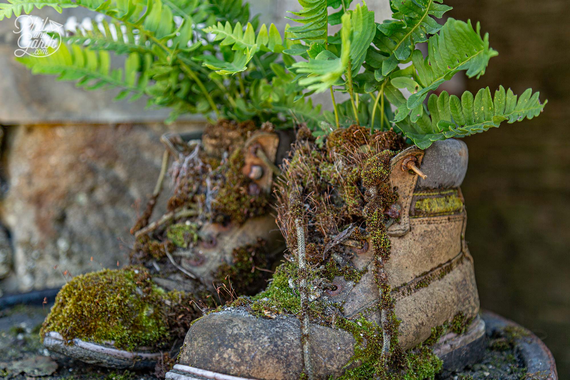 The Lost Gardens of Heligan were restored in tribute to the garden workforce