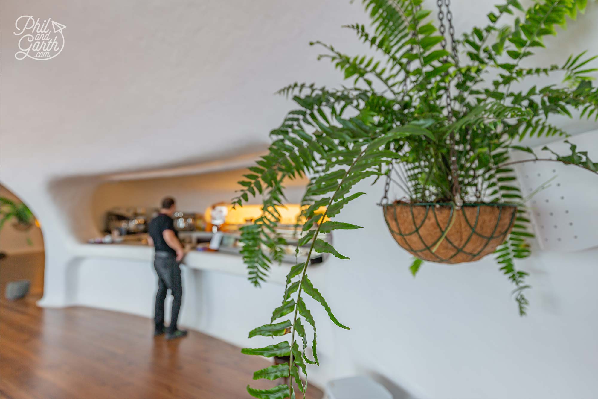 The curvy shaped bar and love the ferns in hanging baskets