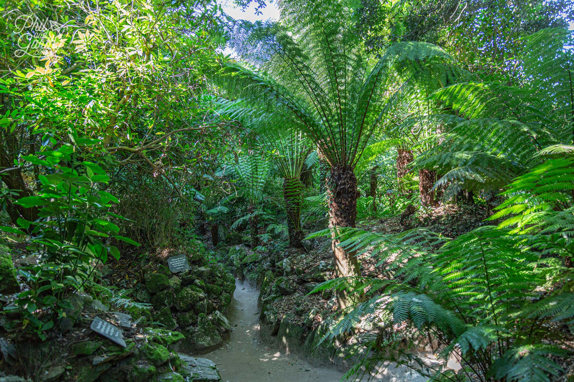 The shady and magical Crystal Grotto garden