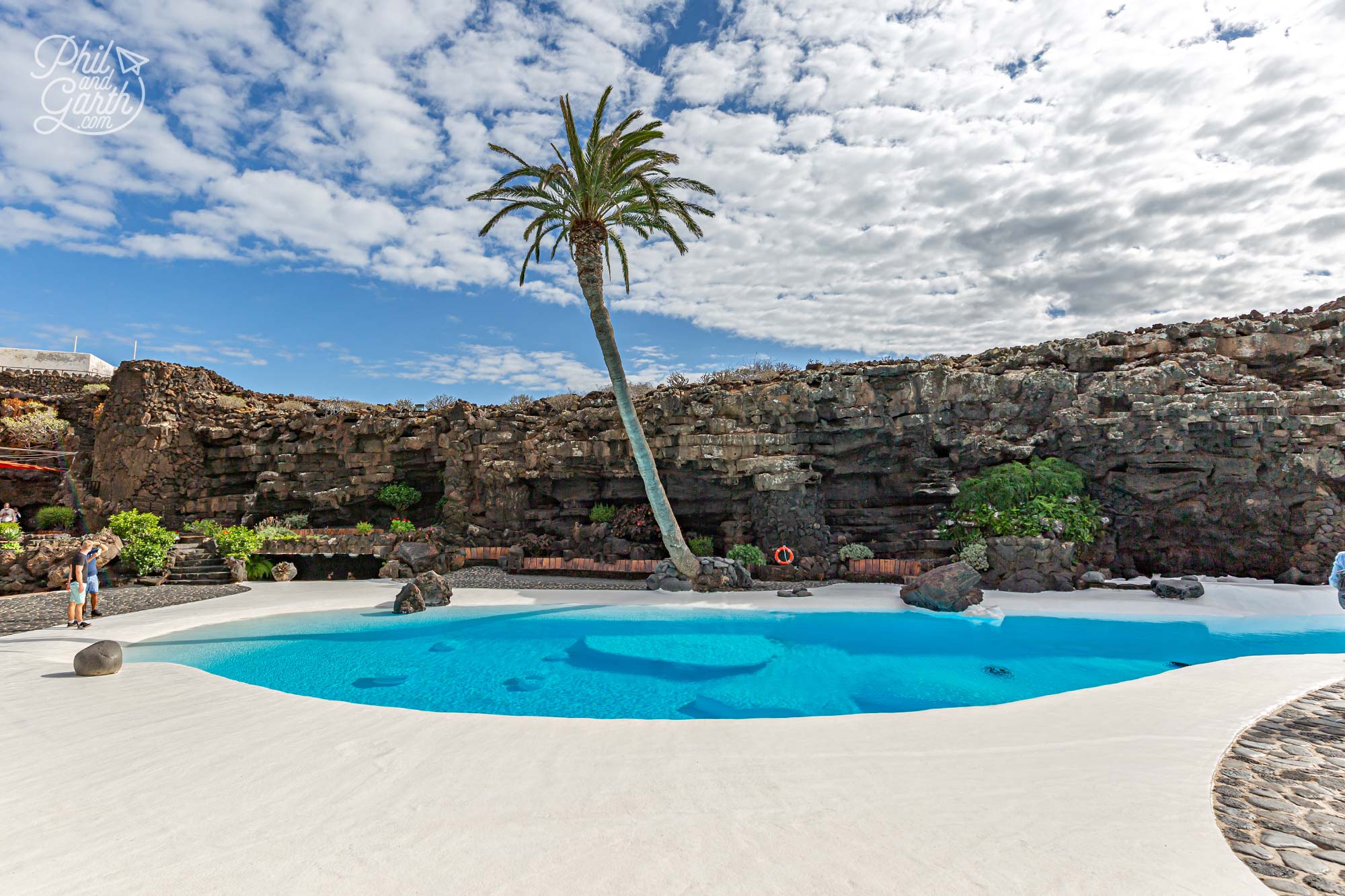 A 100 year old Canarian palm tree stretches over the swimming pool’s water