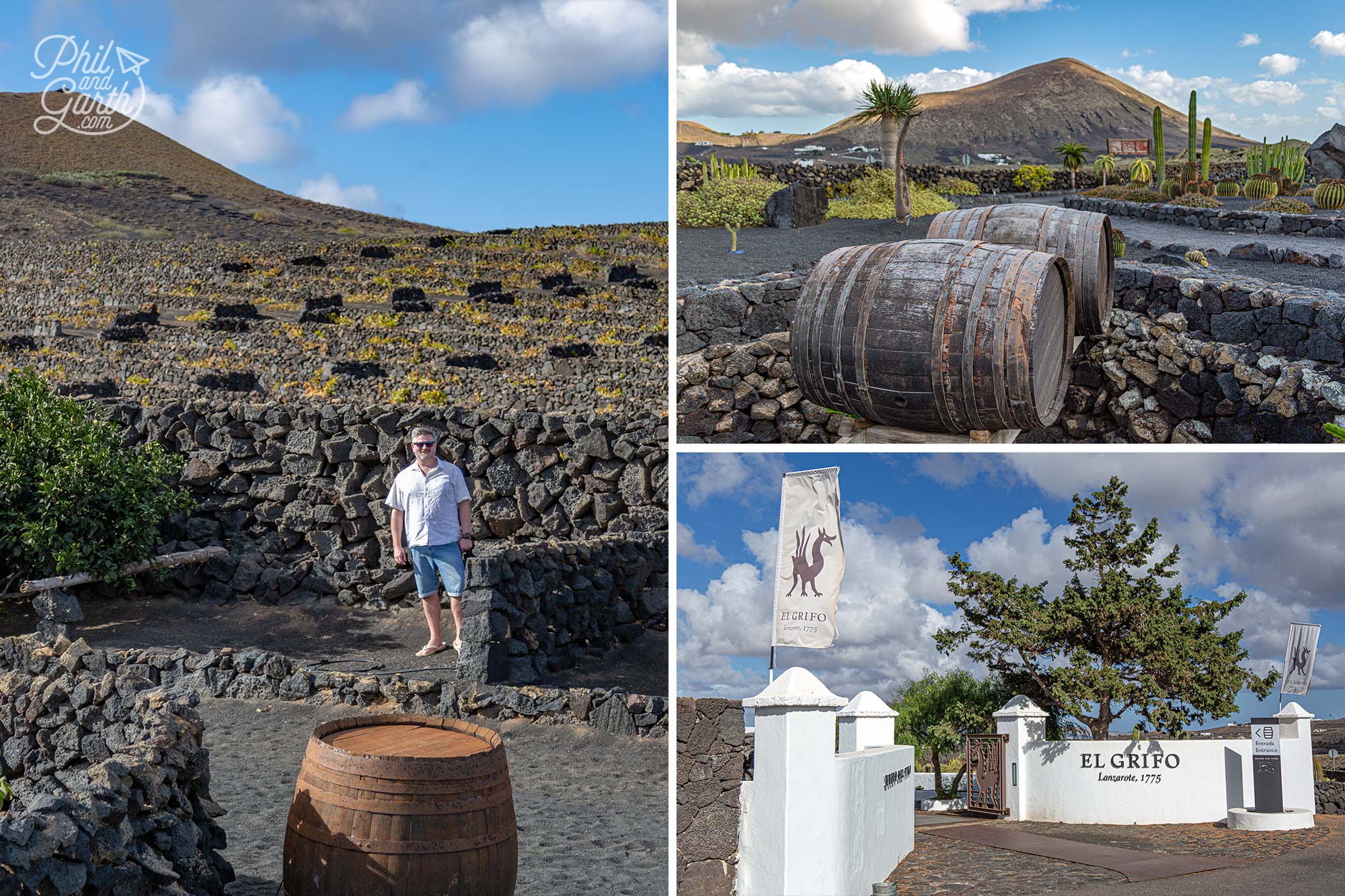 Bodegas El Grifo is the the oldest winery on Lanzarote
