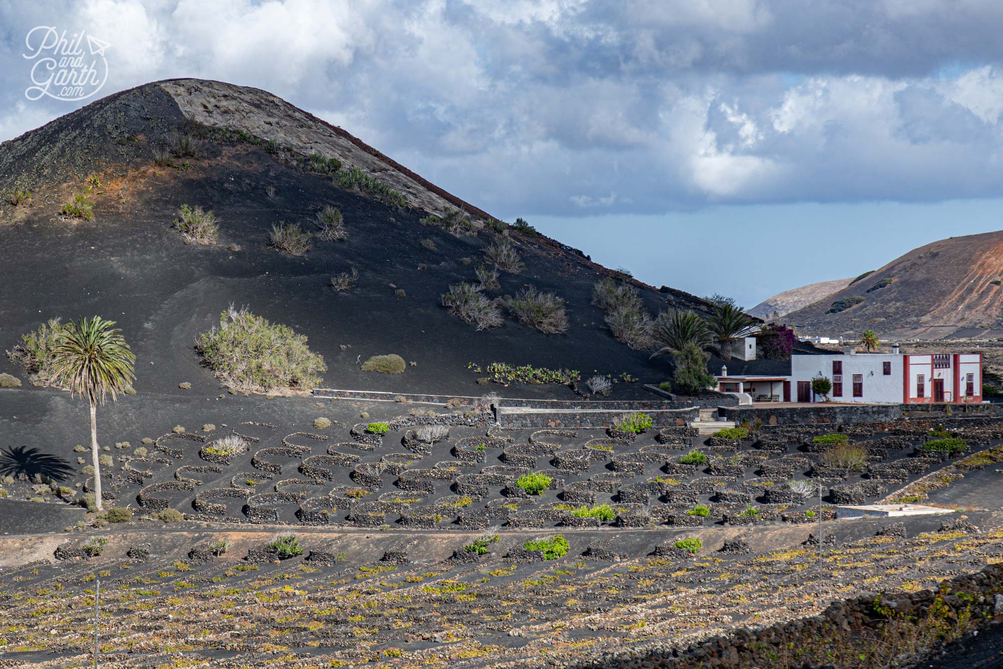 La Geria is Lanzarote’s Malvasia wine producing region
