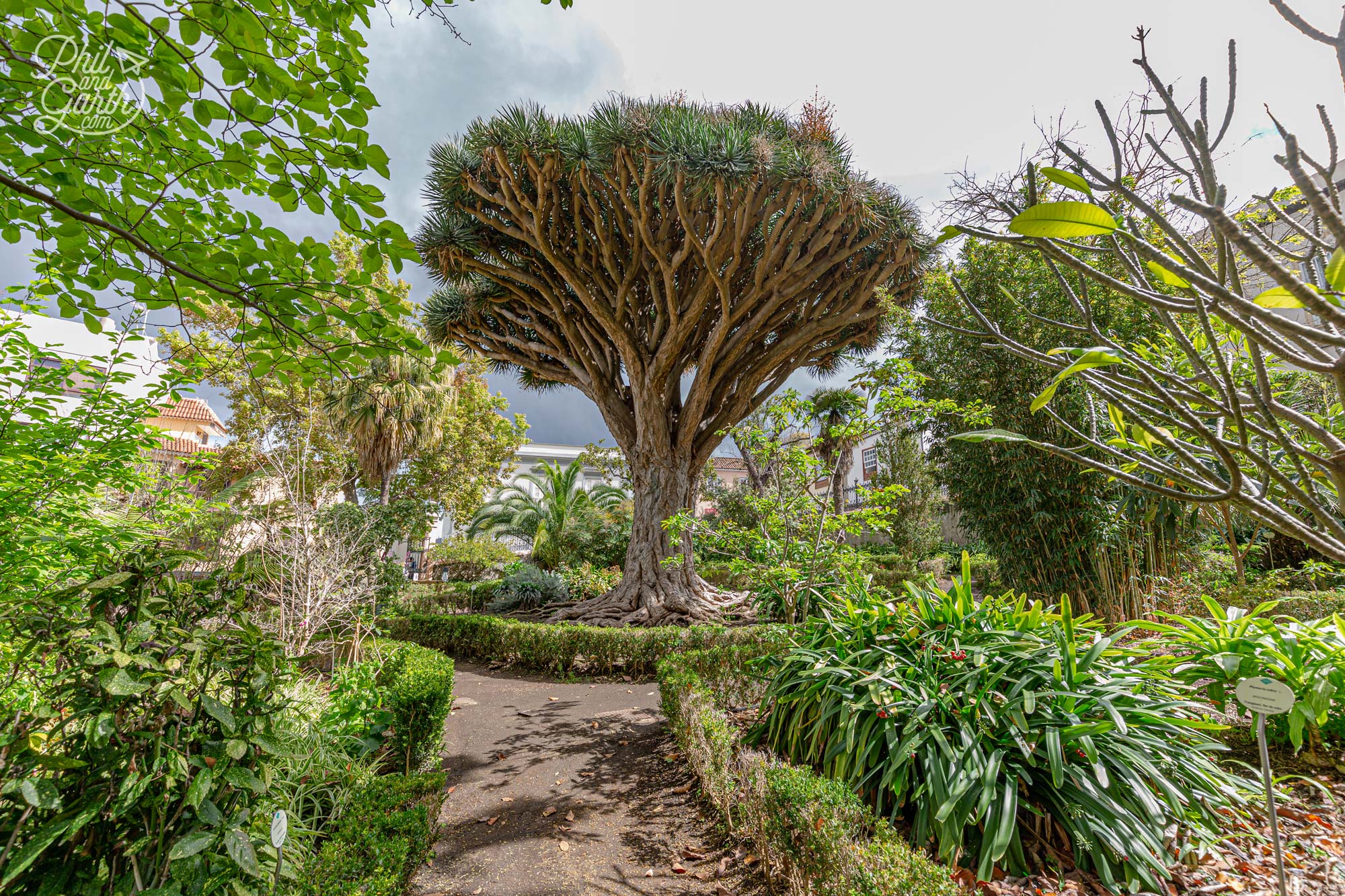 Opposite Jardín Victoria is a small Botanical Garden, well worth a look around