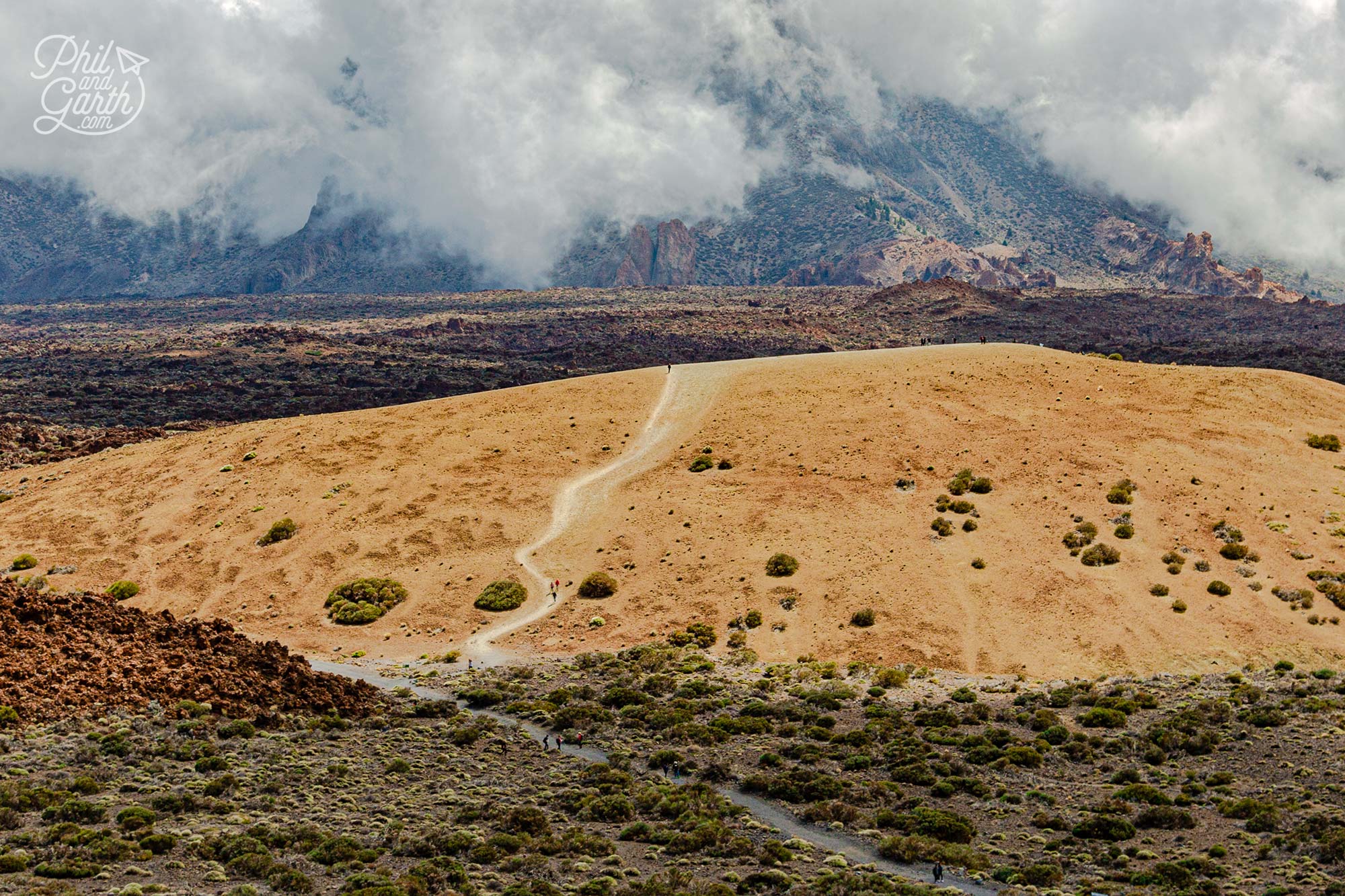 Otherworldly moonscape with a unique biodiversity