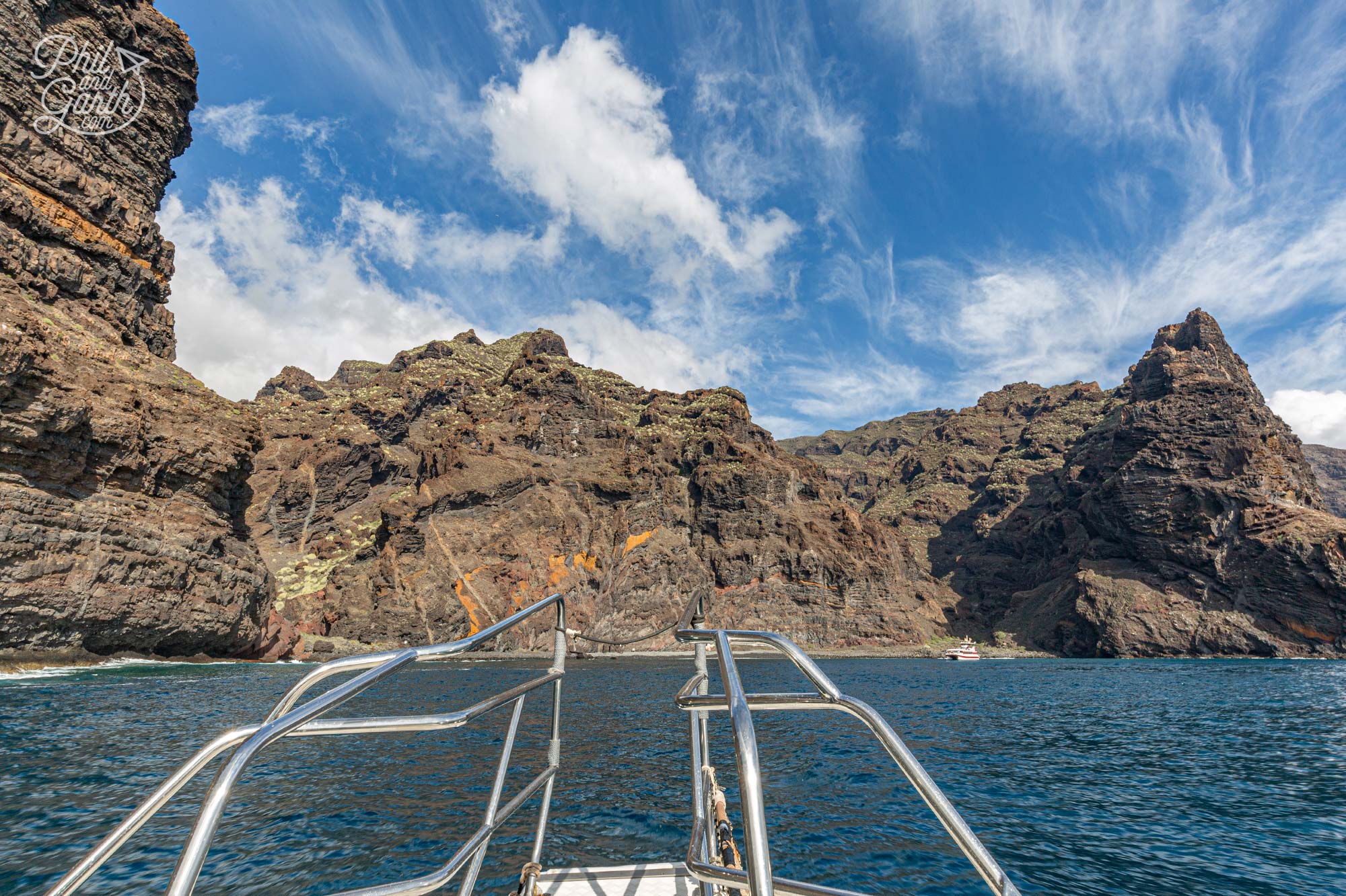 Searching for bottlenose dolphins and pilot whales