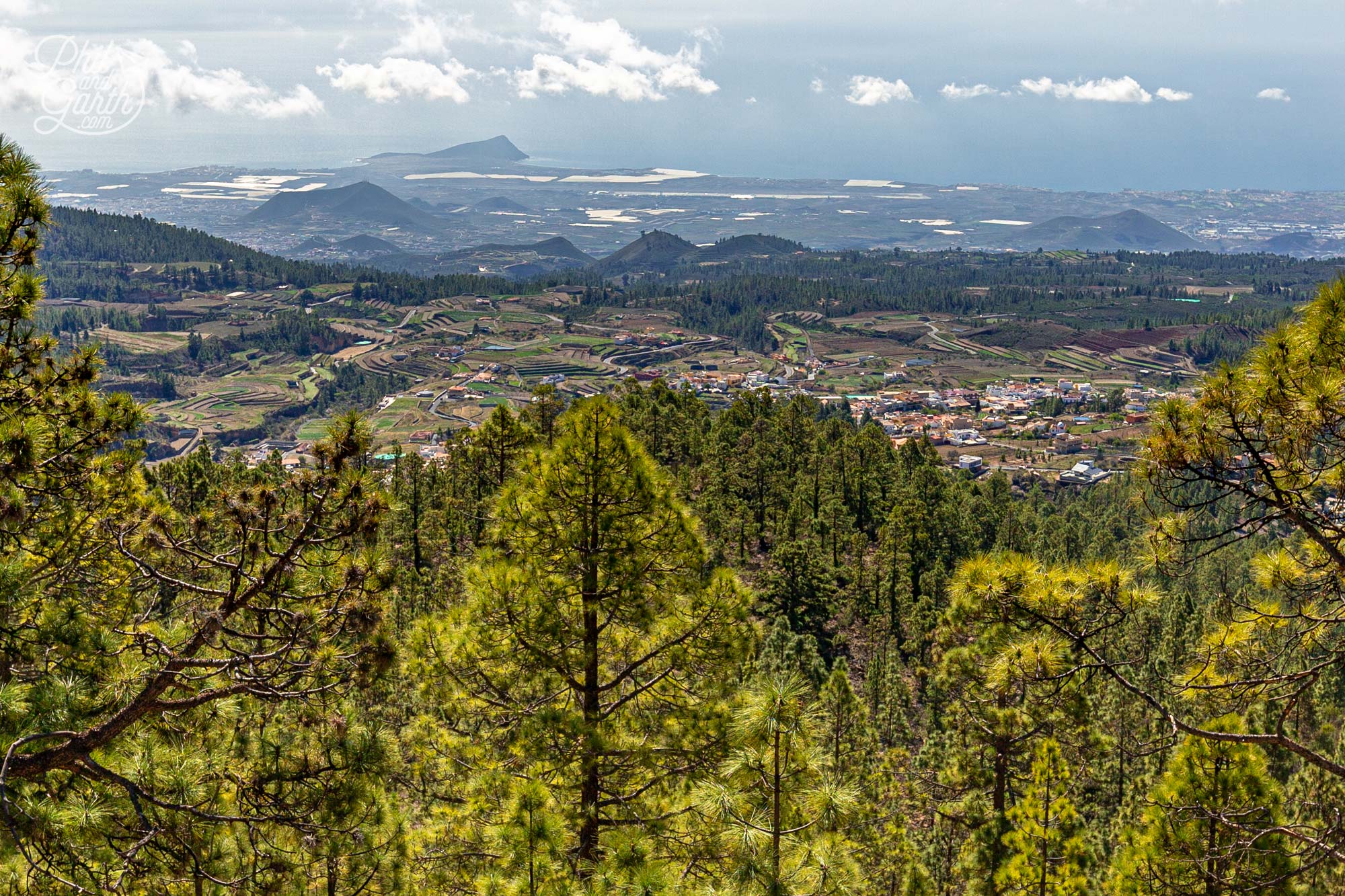 Tenerife's diverse landscape include lush green pine forests and banana plantations