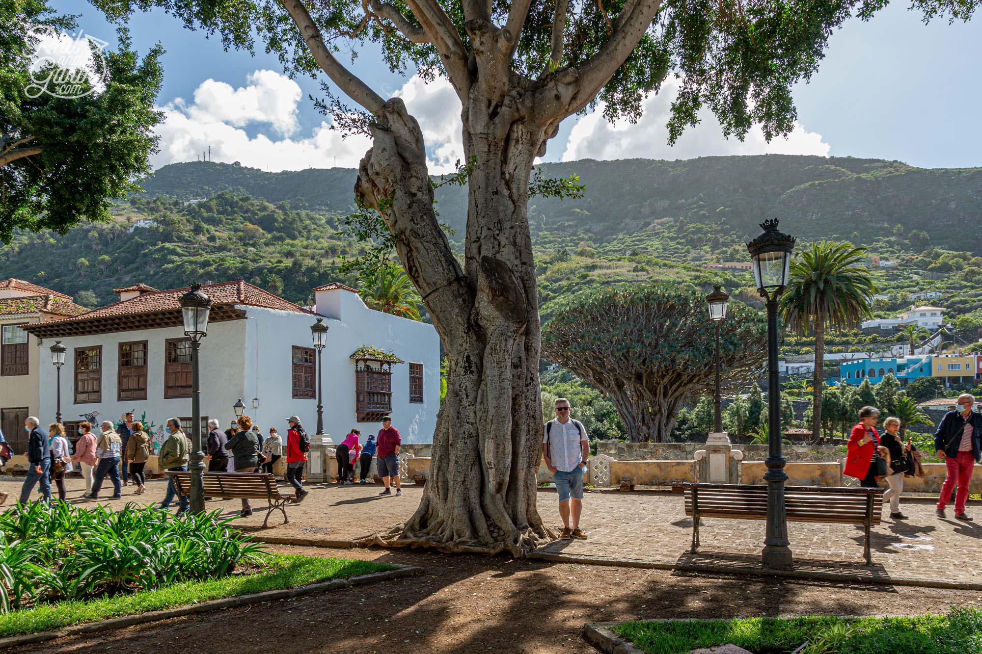 You can easily view the tree from the old town square