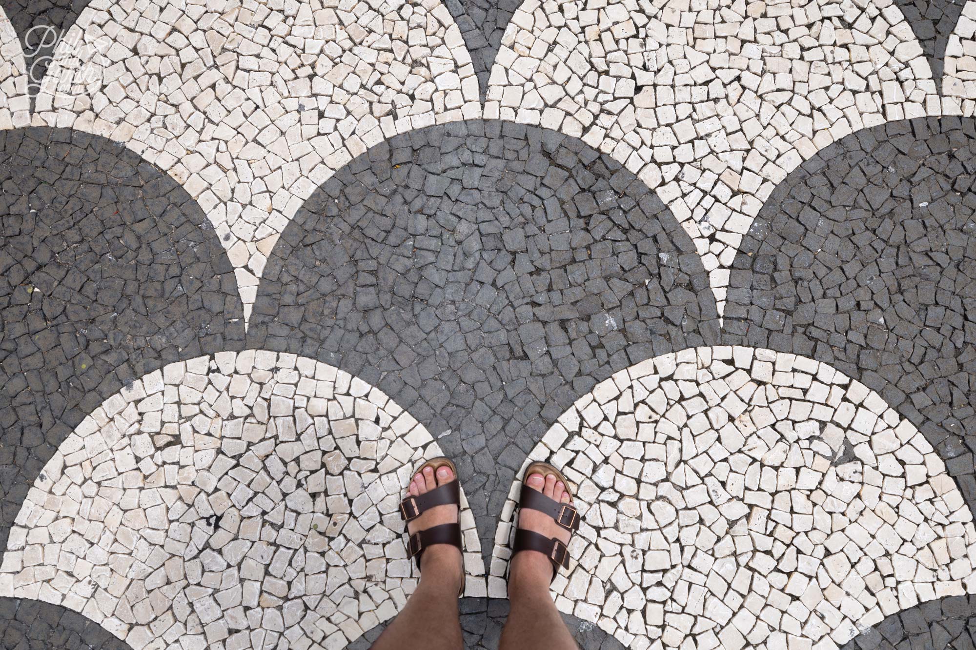 Funchal's mosaic pavements are called ‘calçada’