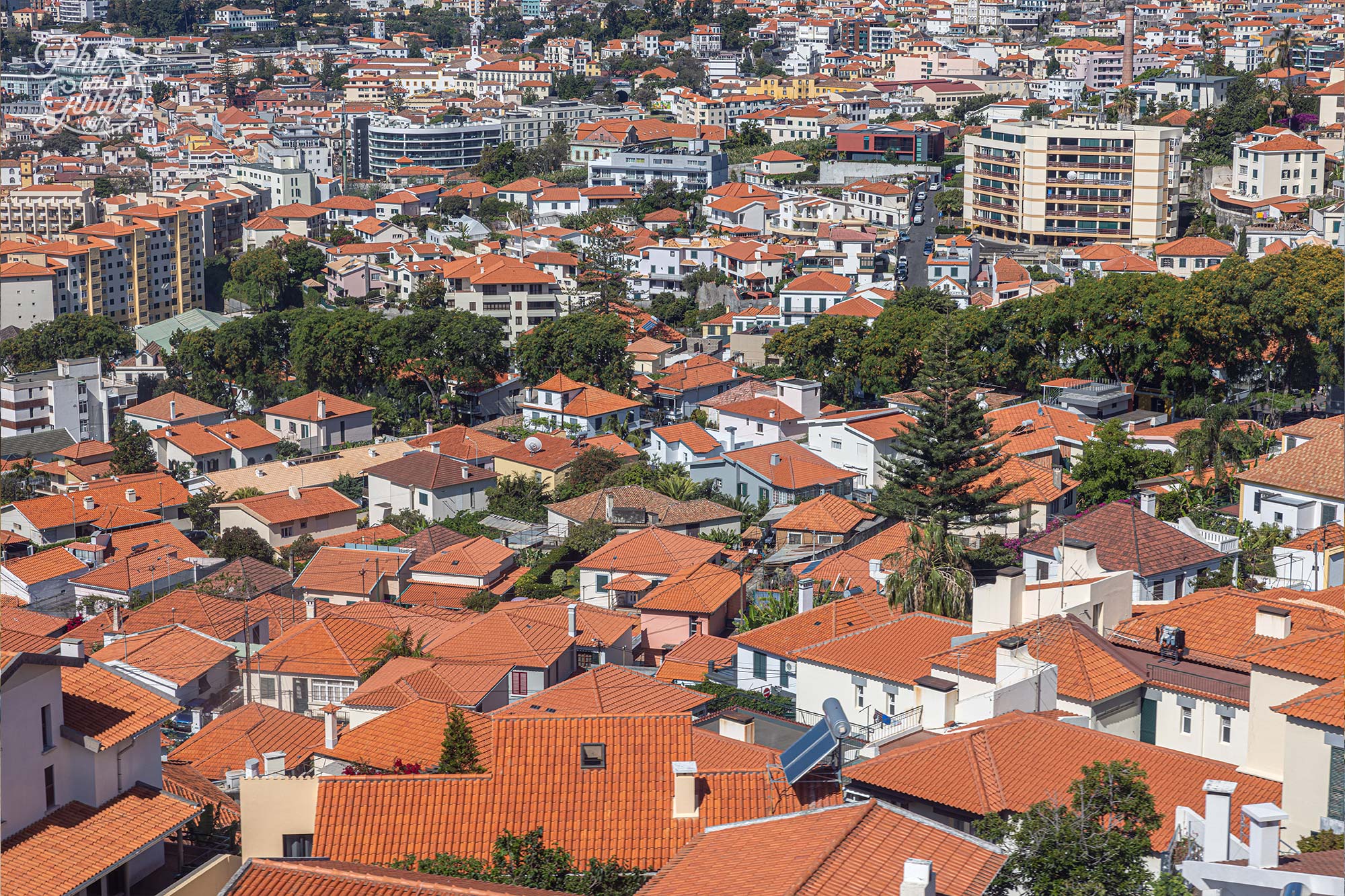 Gliding 600 metres above sea, level above so many traditional orange rooftops