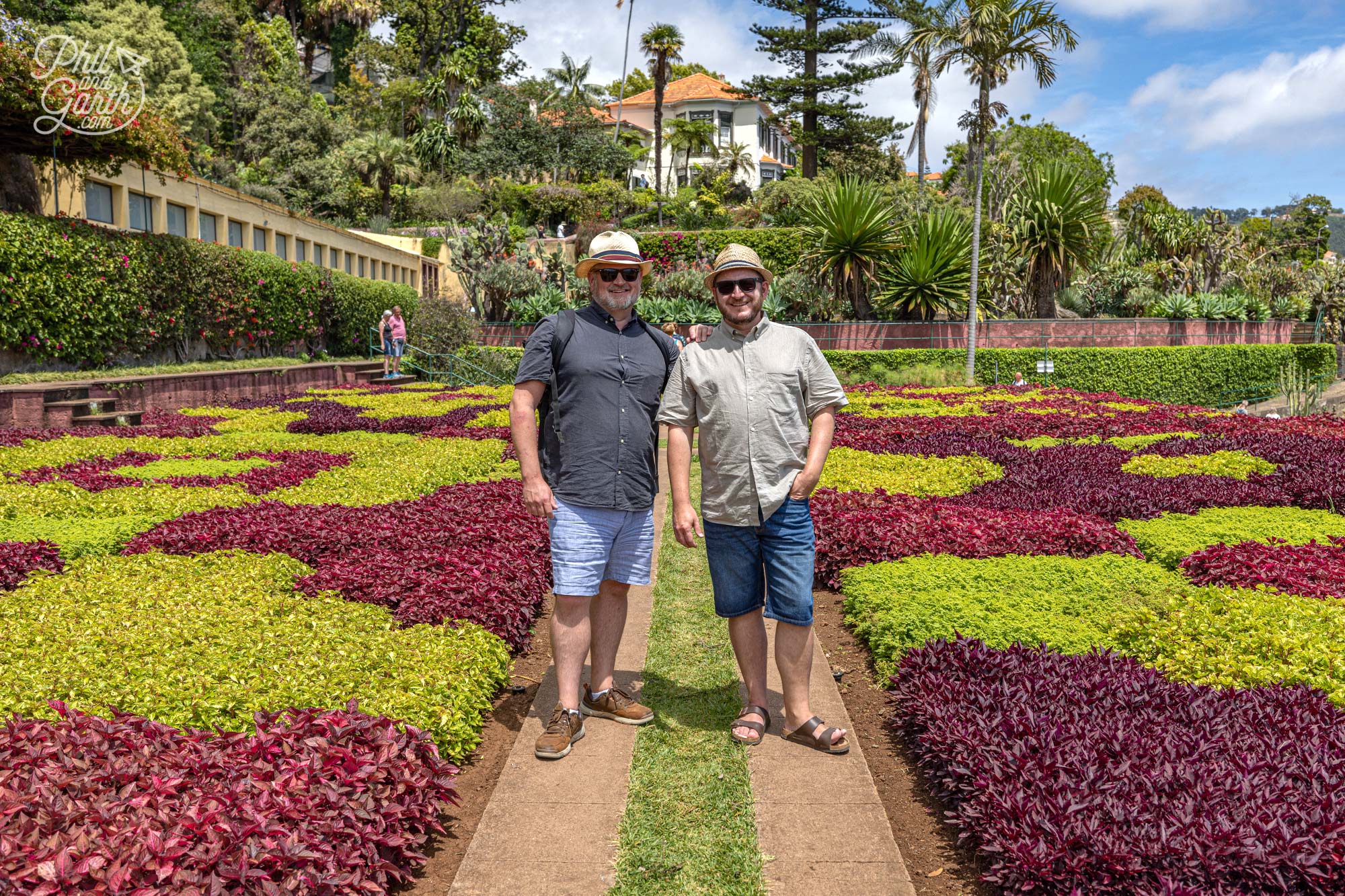 The green and purple signature colours of the mosaic garden Maderia Botanic Garden