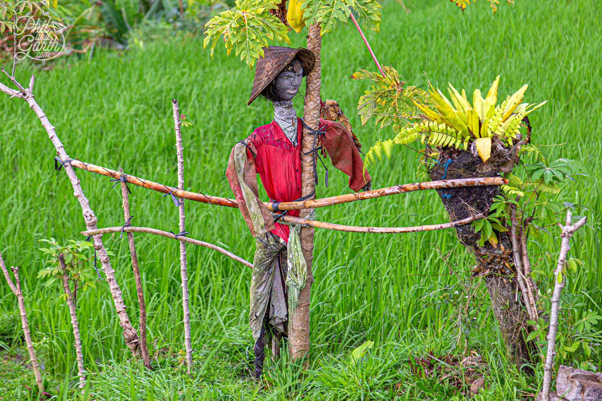 A scarecrow, Bali style in the middle of a field