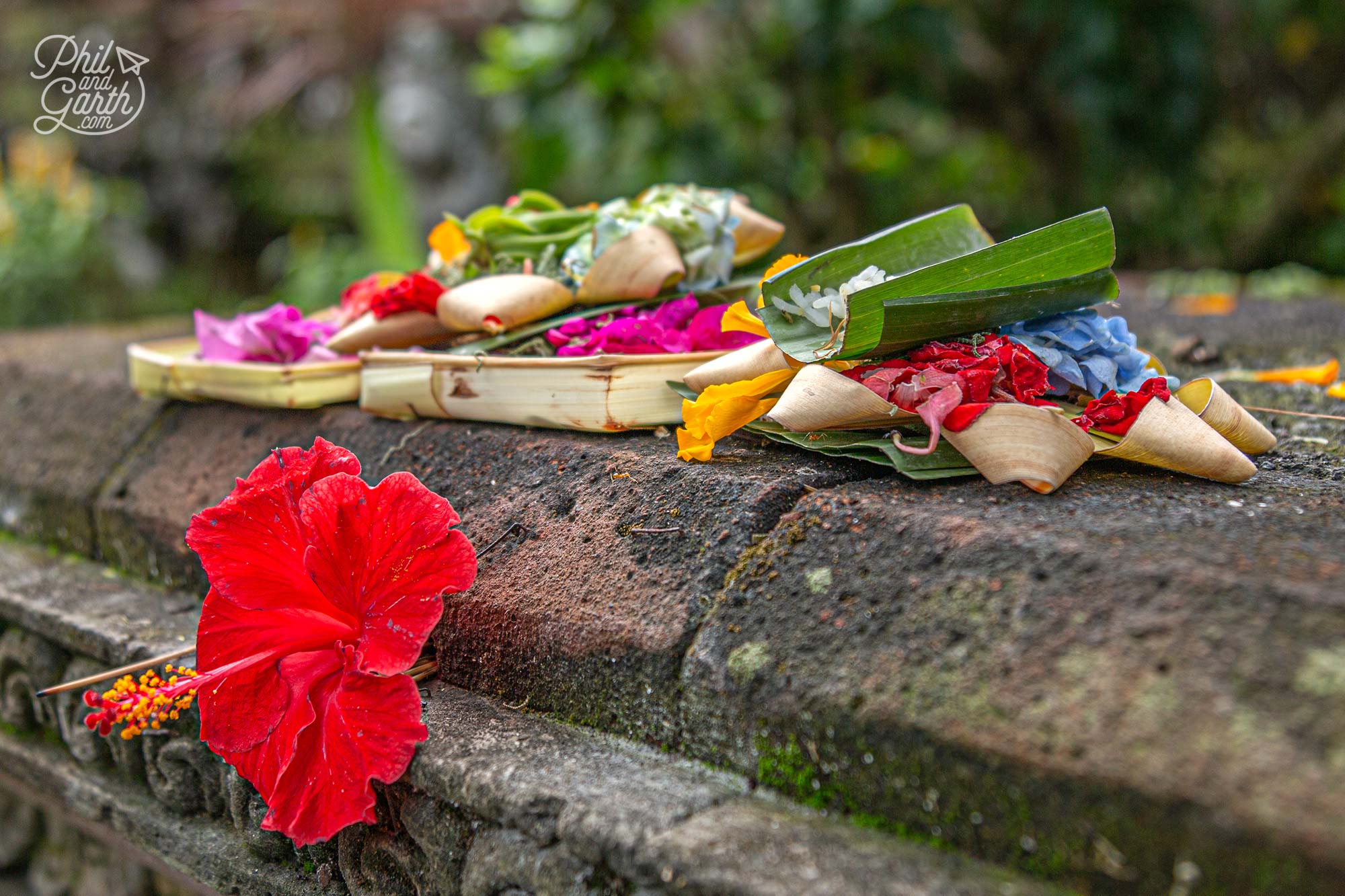 An offering to Goddess Saraswati