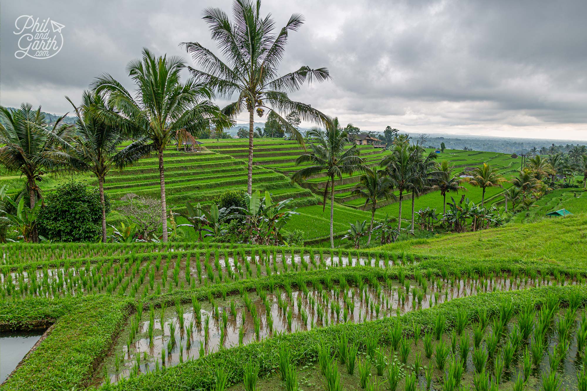 Bali's ancient water irrigation system is called 'Subak'