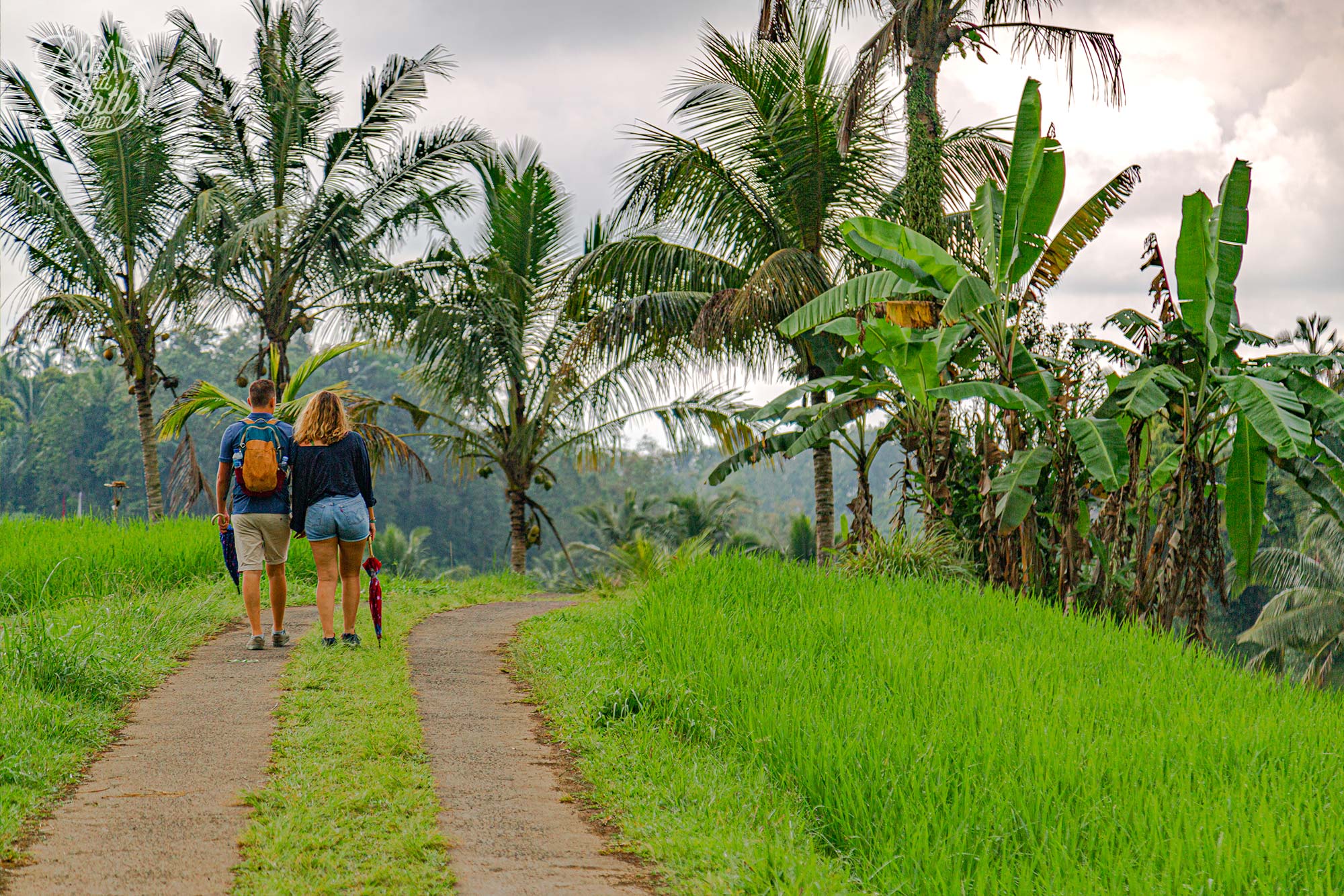 Follow one of the 5 paths to explore Jatiluwih