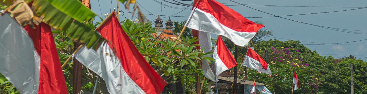 Indonesia country flag