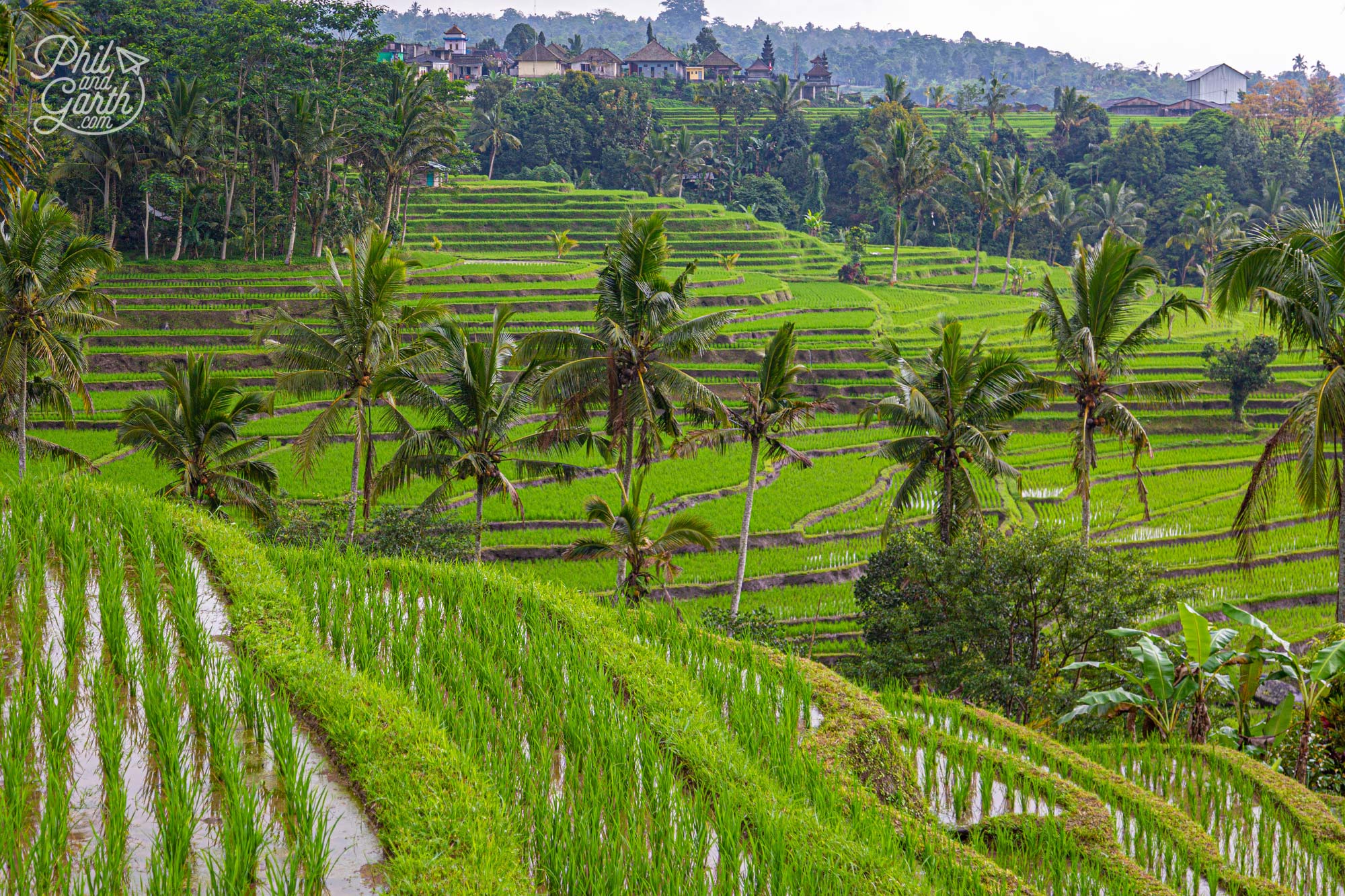 Jatiluwih Rice Terraces are UNESCO listed situated in the north west of the island - 2 hours from Ubud