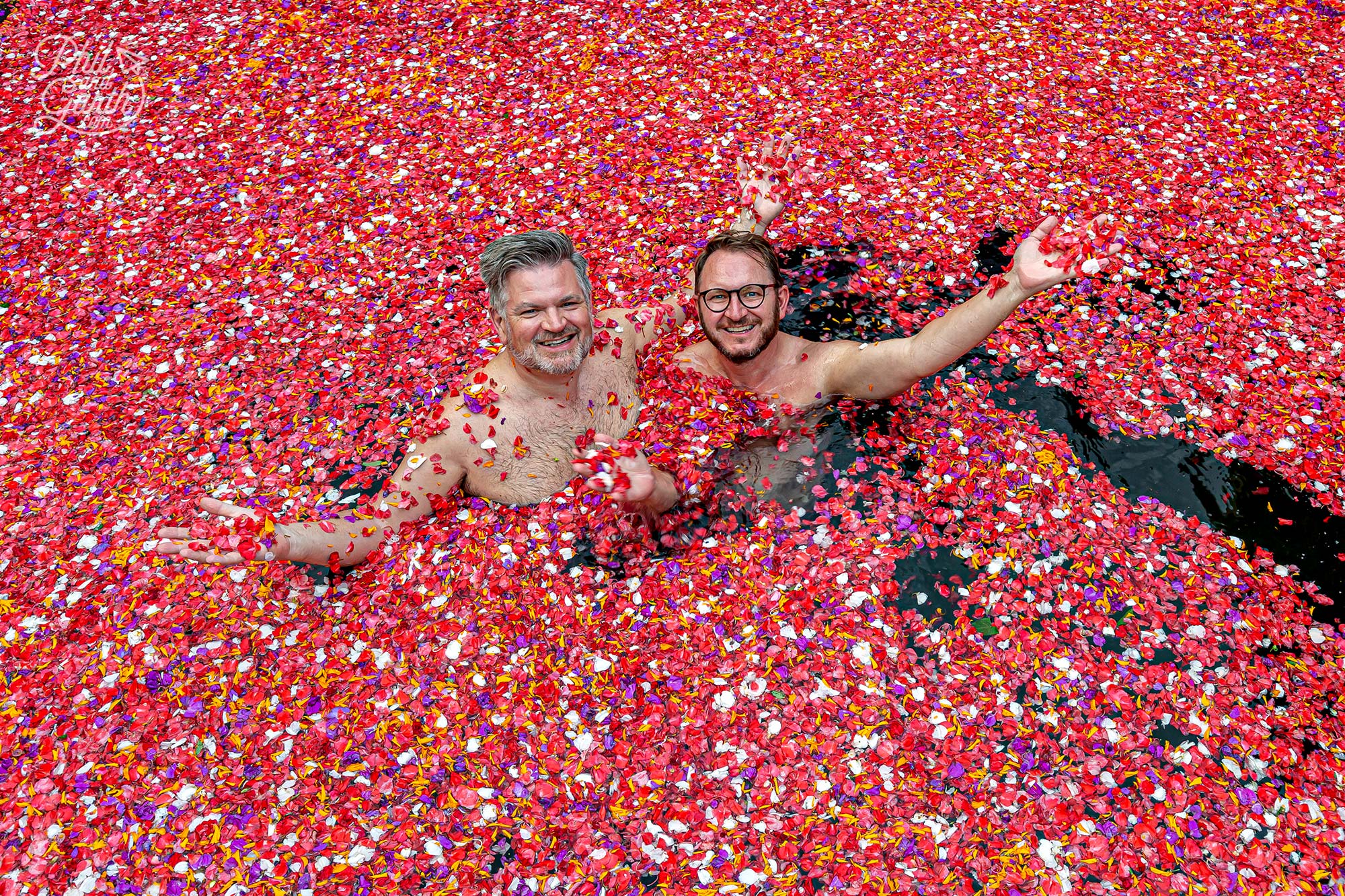 Just like a pool of confetti when the petals are all mixed up