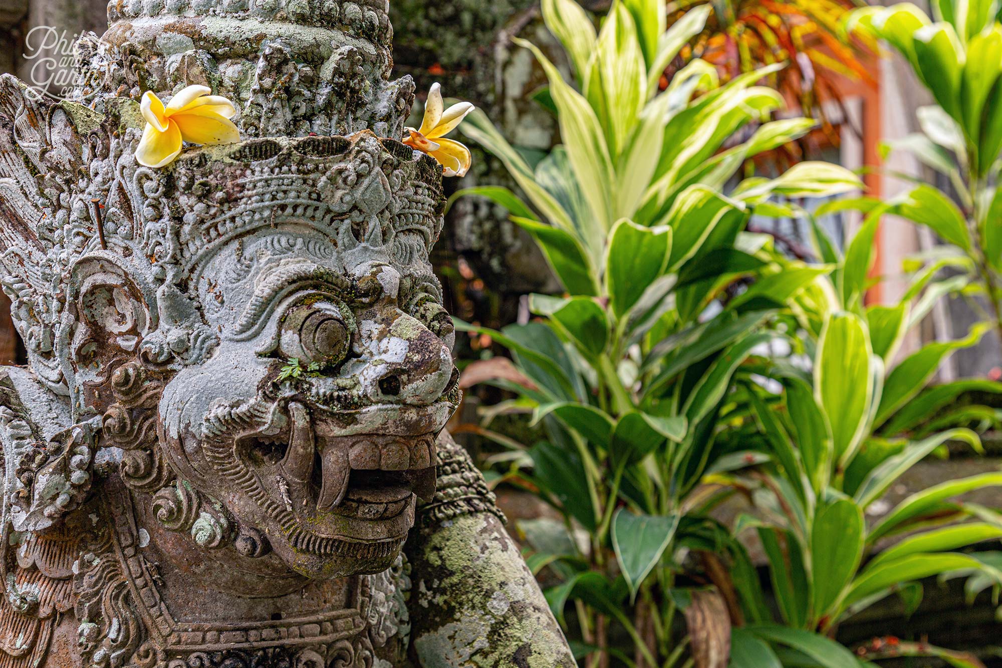 Sculptures of mythological Hindu figures are decorated with frangipani flowers