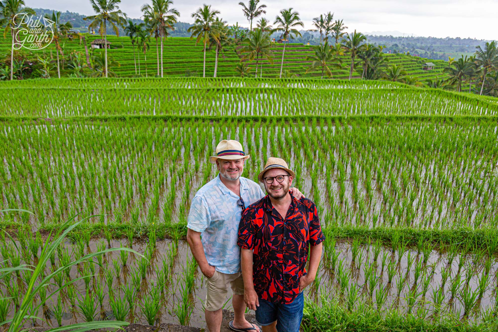 The emerald green Jatiluwih rice terraces