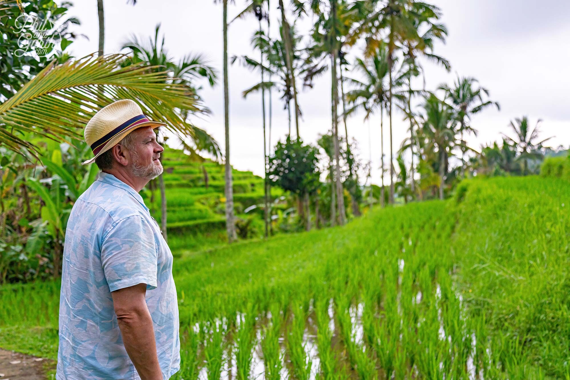 The panoramic lush green views are stunning