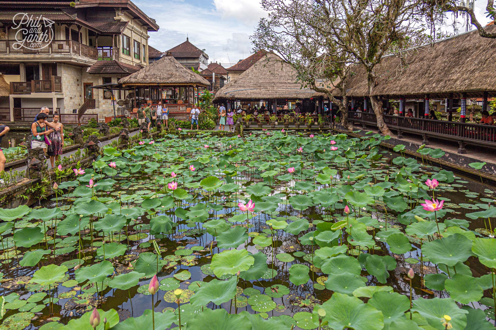 There's also a very nice restaurant here which overlooks the lotus pond