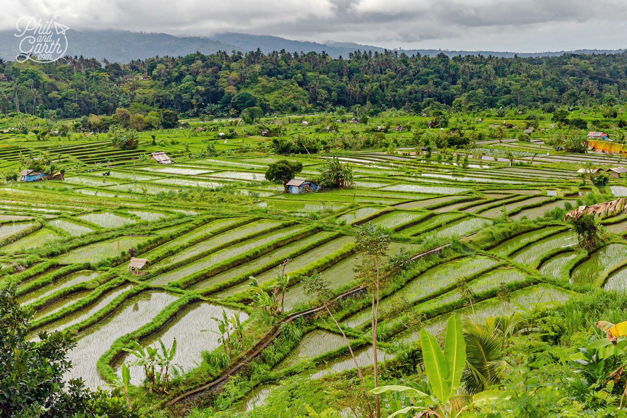 There's some amazing views of rice terraces off the main road close to Tirta Gangga