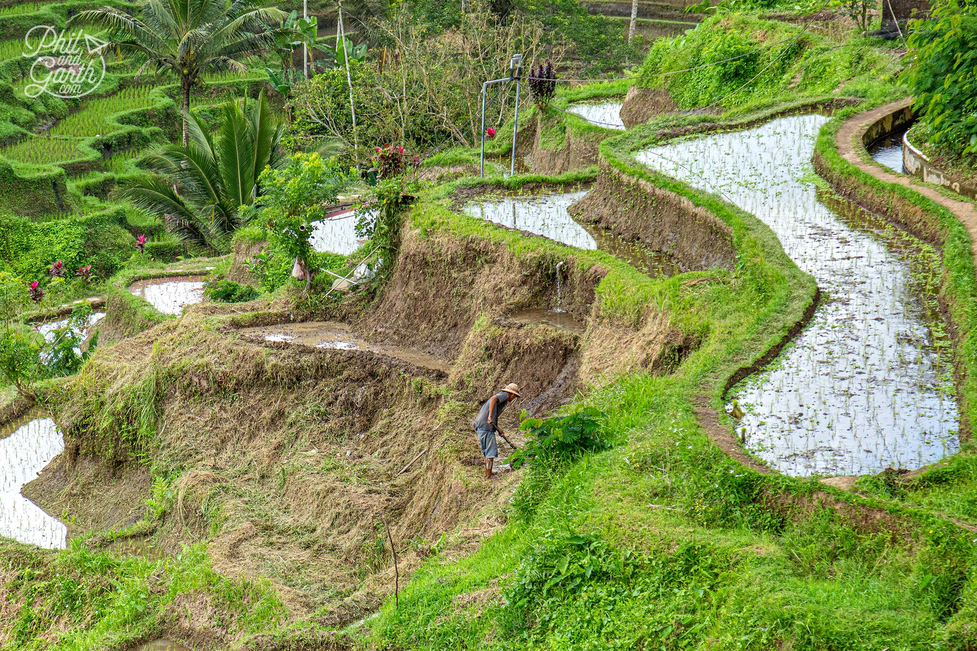 The local community comes together to work in the fields