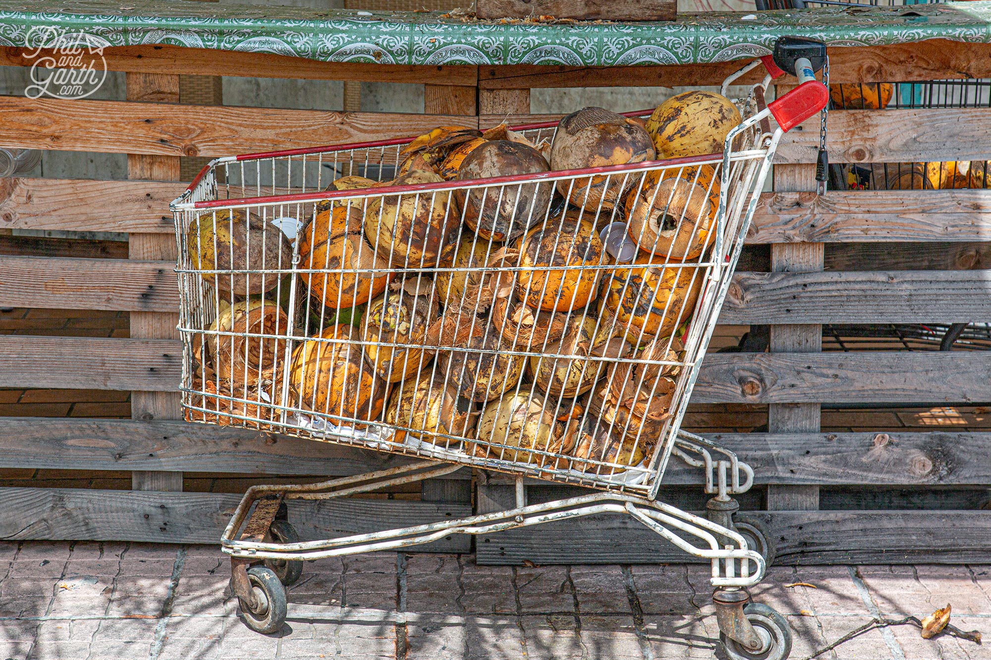 Shopping trolley of coconuts in Marigot