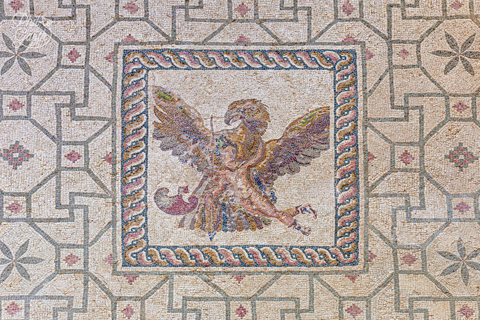 Mosaic of Zeus abducting Ganymede in the House of Dionysos in the Paphos Archaeological Park Paphos Cyprus