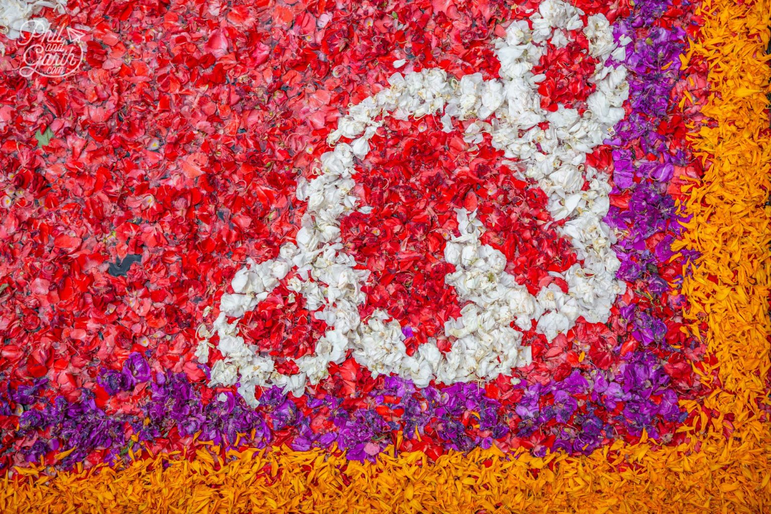 Bali Roses Over Pool 10 Things to know about getting a Bali flower pool - Phil and Garth