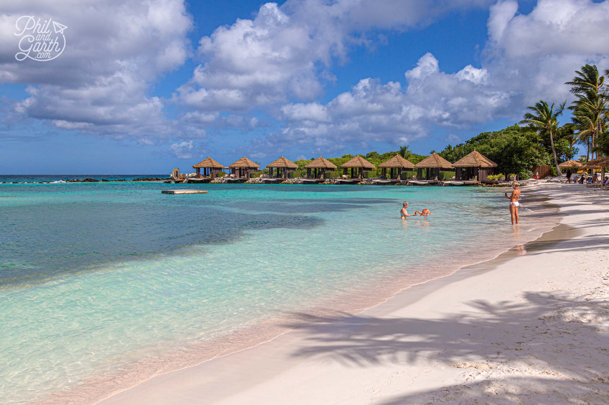 Iguana Beach, Renaissance Island Aruba