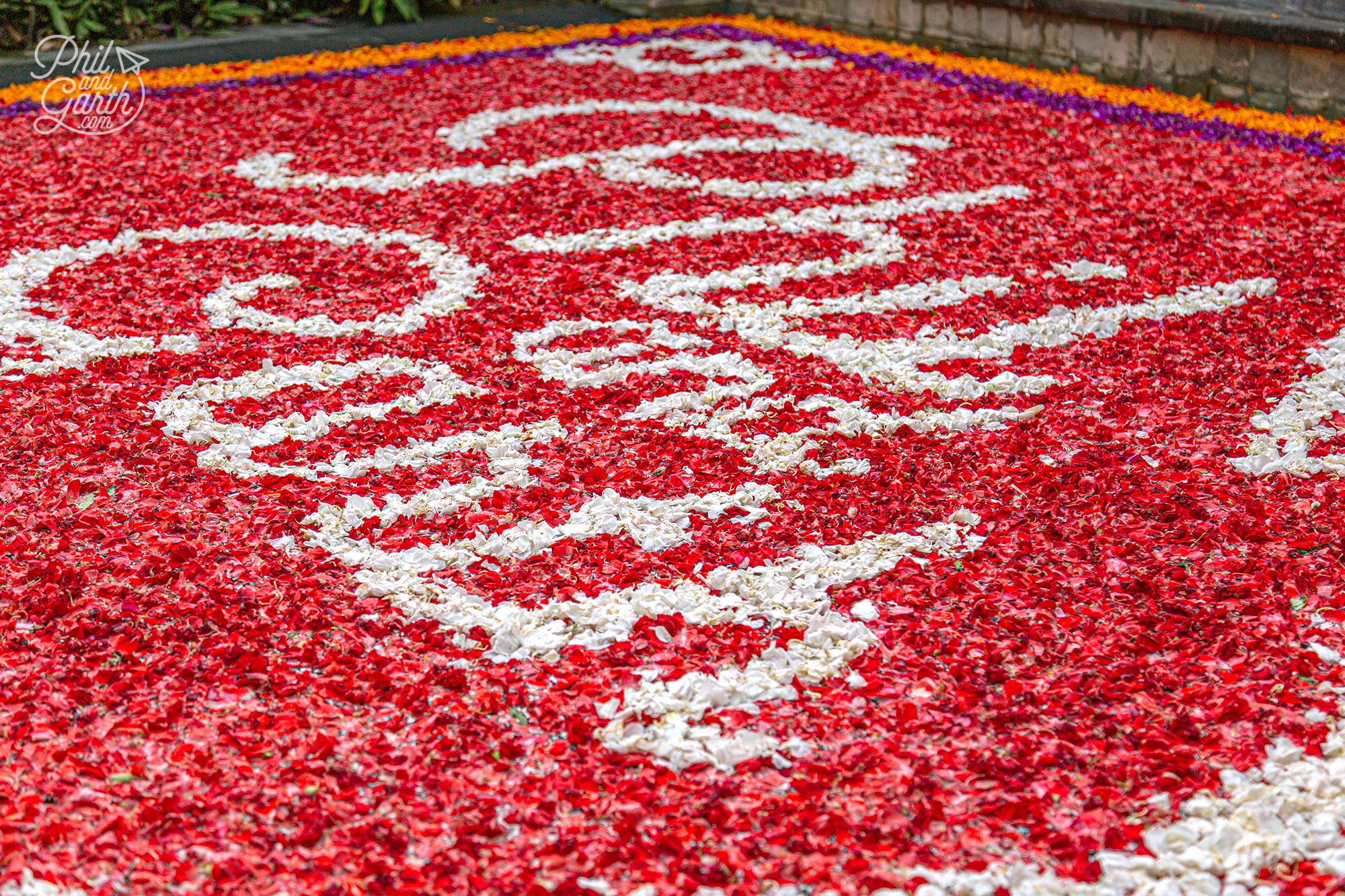 Floating on water - Baliense flower petals