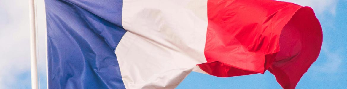 France Travel Guides by Phil and Garth