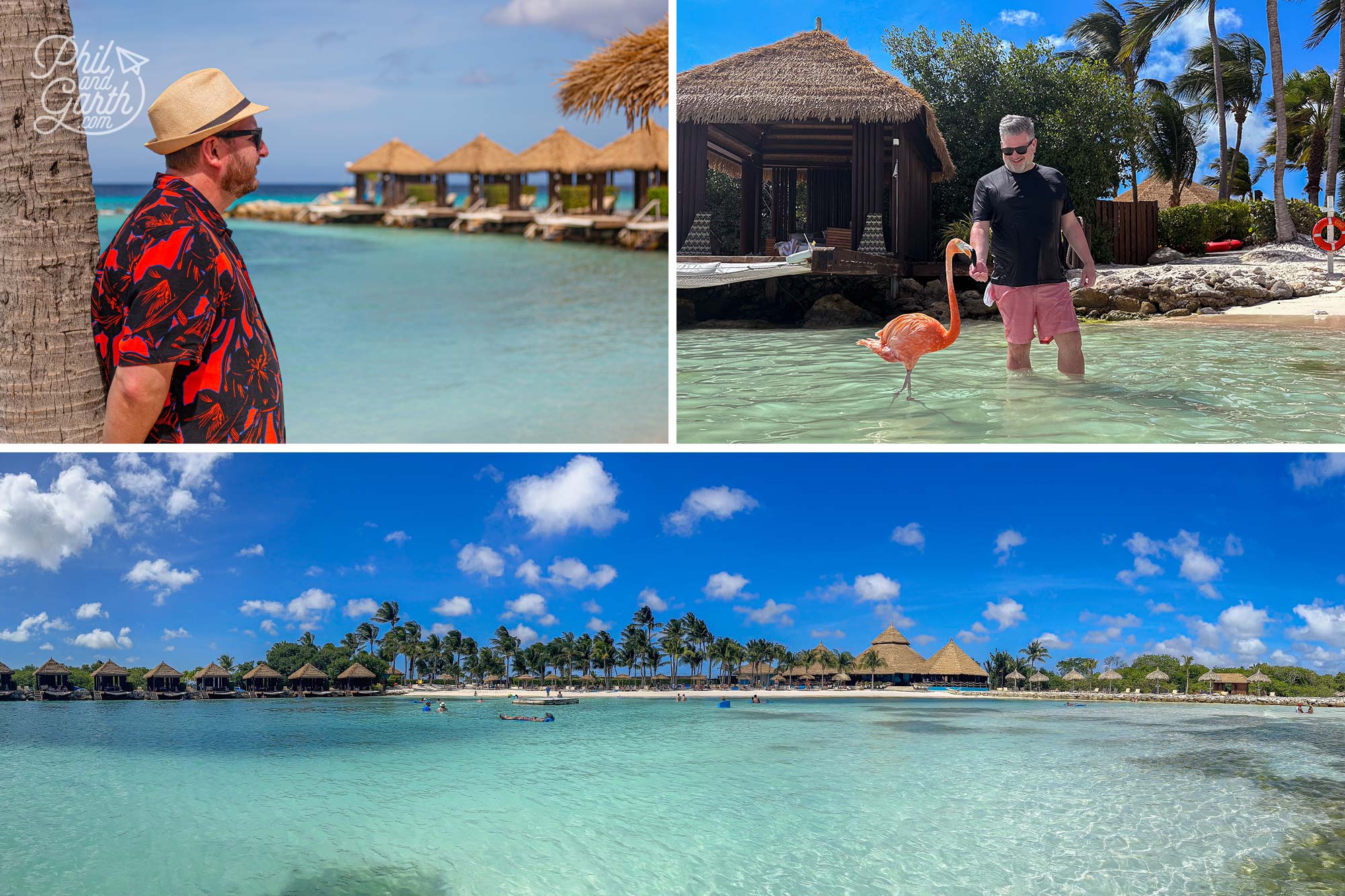 Hanging out with flamingos on Renaissance Island