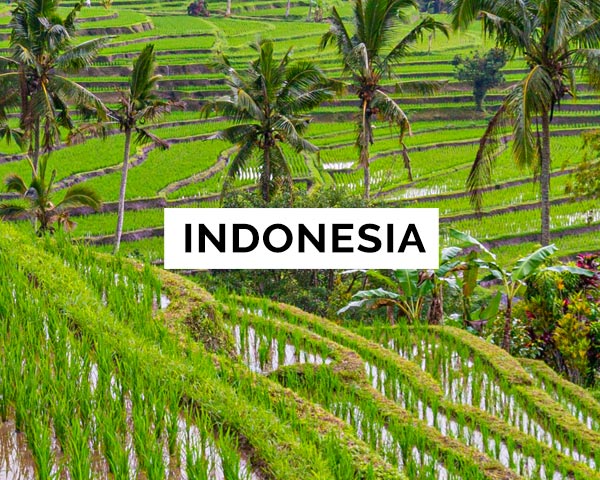 Indonesia