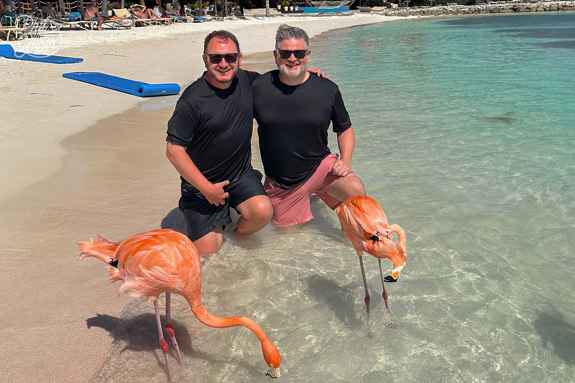 Phil and Garth's Top 5 Aruba Tips